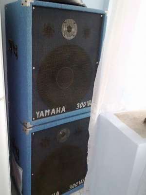 Vand boxe de 600 w rms perechea