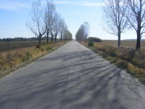 Vand 4 ha Teren Popesti-Palanga Jud Arges