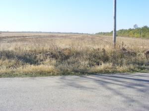Vand 4 ha Teren Popesti-Palanga Jud Arges