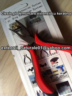 extensii lentile gene cozi bretoane