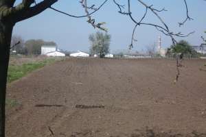 Vadn teren intravilan in Orasul Fundulea