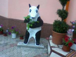 animale ornamentale