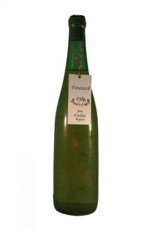 VINOTECA