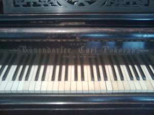 van d pian bosendorfer