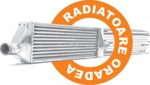 Vand Radiator Incalzire Daf XF 95,   Radiator Incalzire Daf XF 105