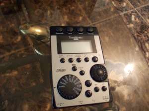 Korg Pandora PX4D