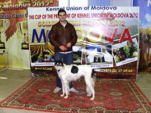 Vand Ogar barzoi
