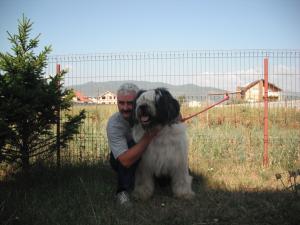 CIOBANESTI MIORITICI DE VANZARE
