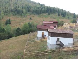 cabana revelion baisoara valea ierii 20-25 pers