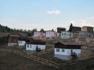 cabana revelion baisoara valea ierii 20-25 pers