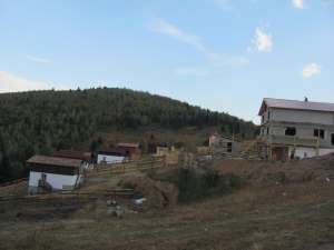 cabana revelion baisoara valea ierii 20-25 pers