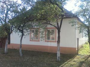 Vand casa cu gradina mare si teren edificabil in comuna Biled,  la 25 de km de Timisoara