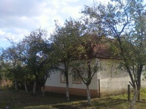 Vand casa cu gradina mare si teren edificabil in comuna Biled,  la 25 de km de Timisoara