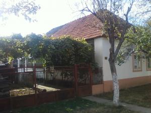 Vand casa cu gradina mare si teren edificabil in comuna Biled,  la 25 de km de Timisoara