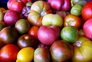 SEMINTE  TOMATE 40 soiuri