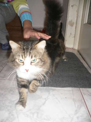 Numele meu este Printu si am 2 anisori�
