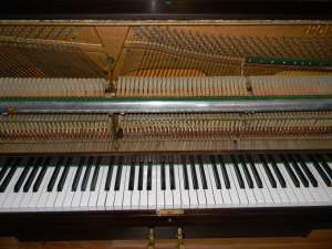 VAND PIANINA RONISCH