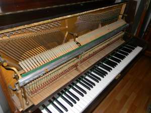VAND PIANINA RONISCH