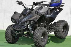 Atv Renegade Stroke 125cc