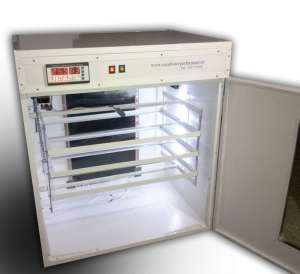 incubator oua