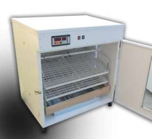 incubator oua