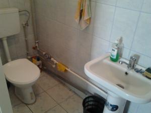 dau in chirie spatiu 36 mp