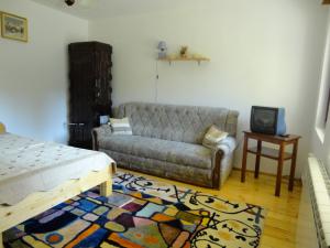 Vand casa in Predeal