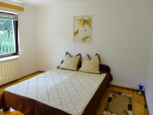 Vand casa in Predeal
