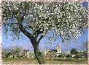 VAND PUIETI MIGDALI