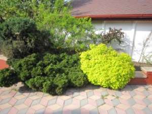 proprietate extra lux CORBEANCA-Bucuresti