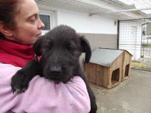 Onyx,  puiul din boxa 2