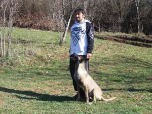 Dresaj canin Probergerk9