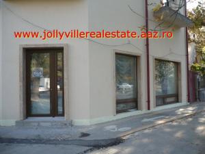 Inchiriere vila Parc Carol
