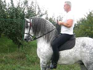 PUR S�NGE SPANIOL