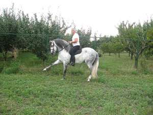 PUR S�NGE SPANIOL