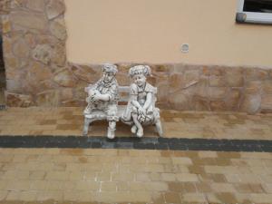 PAVAJE  MONTAJ  TIMISOARA