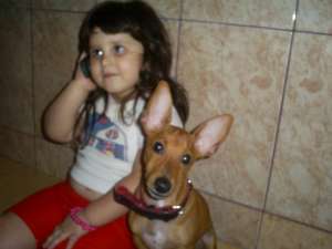 vand catel rasa pinscher