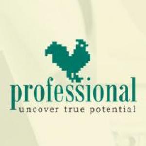 Job-uri entry-level in domeniul financiar