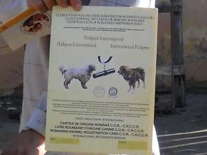 vand ciobanesc mioritic romanesc