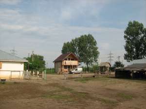 vand ferma de carantina