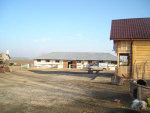 Vand ferma la Giurgiu