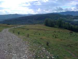 Caut investitor pentru case de vacanta la munte