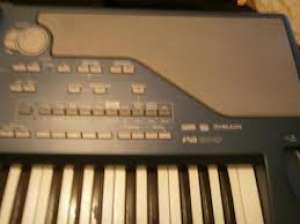 VAND CLAPA KORG PA800
