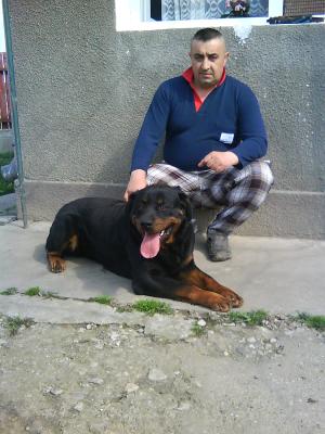 Vreau un Cutzu ! :(