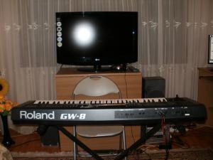 Vand Roland GW-8E