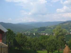 Vand teren in Valea Doftanei