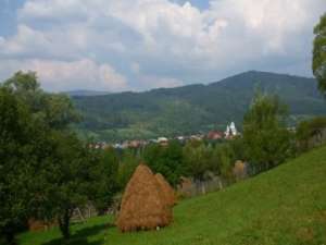 Vand teren in Valea Doftanei