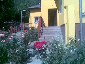 SCHIMB CASA CU AP IN BUC