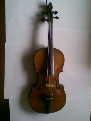 VIOARA
