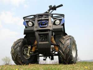ATV 125 ccm GRIZLY automatic cu marsalier. LIVRAREA GRATUITA IN TARA! Imp. Germania